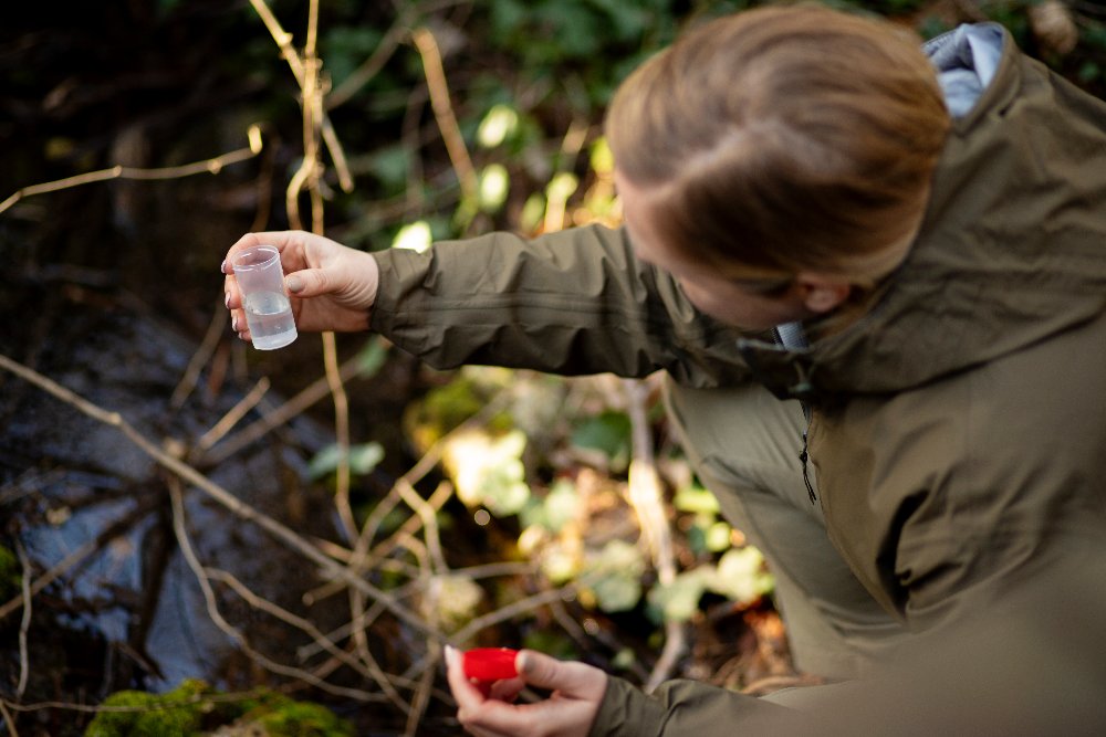 Evaluar actividades en la naturaleza