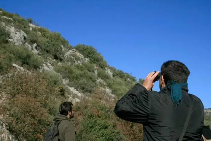 turismo ornitológico