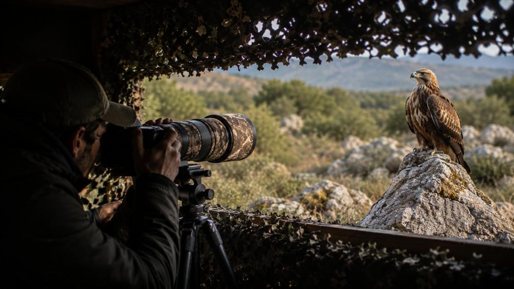 Cómo preparar una sesión de fotografía de fauna